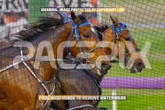 2026_PACEPIX_GP16102026_Race2_MadMonday_WIN_WEB-5