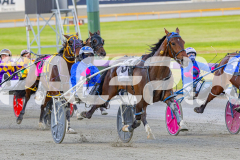 RACE 2 - Mad Monday