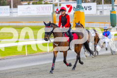2025_PACEPIX_GP24102025_Race2_MadMonday_WIN_WEB-11