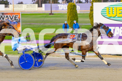 2025_PACEPIX_GP02092025_RACE2_MaddyRocks_WIN_WEB-12