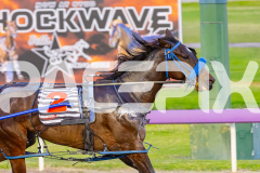 2025_PACEPIX_GP02092025_RACE2_MaddyRocks_WIN_WEB-2