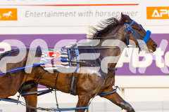 2025_PACEPIX_GP02092025_RACE2_MaddyRocks_WIN_WEB-6
