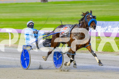 2025_PACEPIX_GP02092025_RACE2_MaddyRocks_WIN_WEB-8