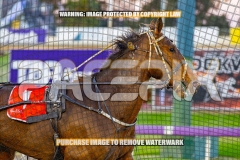 2026_PACEPIX_GP22092026_RACE2_MajorFreeway_WIN_WEB-10