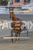 2026_PACEPIX_GP22092026_RACE2_MajorFreeway_WIN_WEB-11