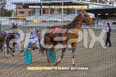 2026_PACEPIX_GP22092026_RACE2_MajorFreeway_WIN_WEB-13