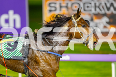 2025_PACEPIX_GP11072025_Race2_ManhattanMoon_WIN_WEB-11