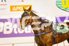2025_PACEPIX_GP11072025_Race2_ManhattanMoon_WIN_WEB-14