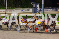 2025_PACEPIX_GP11072025_Race2_ManhattanMoon_WIN_WEB-3