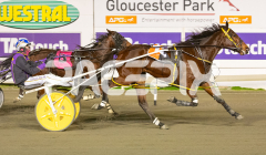 RACE 2 - Manhattan Ruby