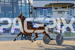 2025_PACEPIX_GP12122025_RACE2_Maungatahi_WIN_WEB-1