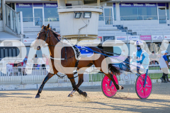 2025_PACEPIX_GP12122025_RACE2_Maungatahi_WIN_WEB-2