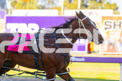 2025_PACEPIX_GP12122025_RACE2_Maungatahi_WIN_WEB-20