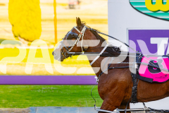 2025_PACEPIX_GP12122025_RACE2_Maungatahi_WIN_WEB-21