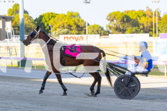 2025_PACEPIX_GP12122025_RACE2_Maungatahi_WIN_WEB-22