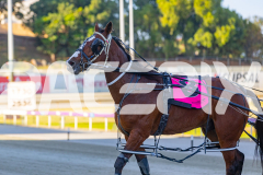 2025_PACEPIX_GP12122025_RACE2_Maungatahi_WIN_WEB-23