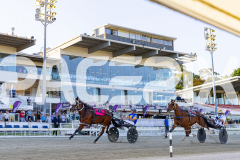 2025_PACEPIX_GP12122025_RACE2_Maungatahi_WIN_WEB-25