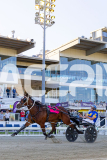 2025_PACEPIX_GP12122025_RACE2_Maungatahi_WIN_WEB-26