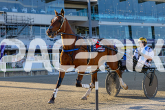 2025_PACEPIX_GP12122025_RACE2_Maungatahi_WIN_WEB-3