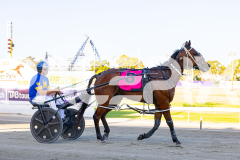 2025_PACEPIX_GP12122025_RACE2_Maungatahi_WIN_WEB-32