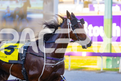 2025_PACEPIX_GP12122025_RACE2_Maungatahi_WIN_WEB-8