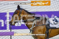 2026_PACEPIX_GP09102026_RACE2_MikisPride_WIN_WEB-12