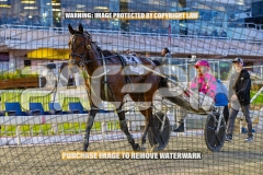 2026_PACEPIX_GP09102026_RACE2_MikisPride_WIN_WEB-14