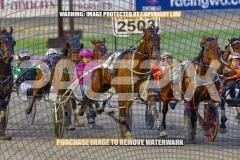 2026_PACEPIX_GP09102026_RACE2_MikisPride_WIN_WEB-5