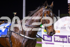 2025_PACEPIX_GP17062025_RACE2_MIKISPRIDE_WIN_WEB-7