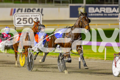 2025_PACEPIX_GP17062025_Race2_MikisPride_WIN_WEB_S_-4
