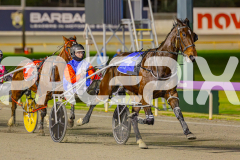 2025_PACEPIX_GP17062025_Race2_MikisPride_WIN_WEB_S_-5