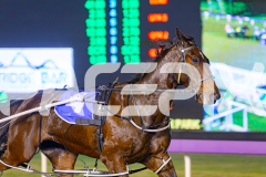 2025_PACEPIX_GP17062025_Race2_MikisPride_WIN_WEB_S_-7
