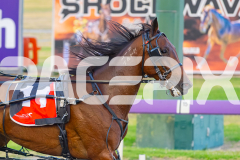 2025_PACEPIX_GP23012026_Race2_Minos_WIN_WEB-11