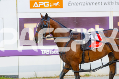 2025_PACEPIX_GP23012026_Race2_Minos_WIN_WEB-13