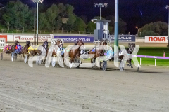 RACE 2 - Miss Vincenza