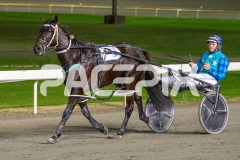 Miss-Vincenza_16-06-2026_WIN_Gloucester-Park_2__08