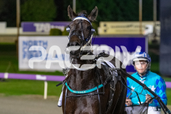 Miss-Vincenza_16-06-2026_WIN_Gloucester-Park_2__09