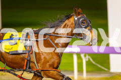 2025_PACEPIX_GP15072025_Race2_MyUltimateKevvie_WIN_WEB-15