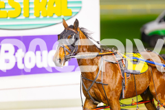 2025_PACEPIX_GP15072025_Race2_MyUltimateKevvie_WIN_WEB-17