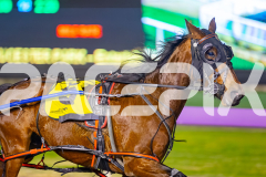 2025_PACEPIX_GP15072025_Race2_MyUltimateKevvie_WIN_WEB-4
