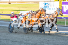 Race 2 -  Mydadtheterror
