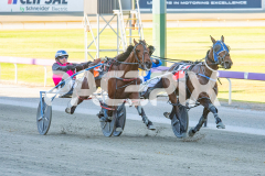 Mydadtheterror_21-10-2025_WIN_Gloucester-Park_2__07