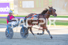 Mydadtheterror_21-10-2025_WIN_Gloucester-Park_2__08