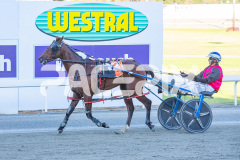 Mydadtheterror_21-10-2025_WIN_Gloucester-Park_2__09