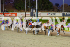 2025_PACEPIX_GP02052025_Race2_NavyStreet_WIN_WEB-10