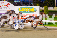 2025_PACEPIX_GP02052025_Race2_NavyStreet_WIN_WEB-20