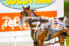 2025_PACEPIX_GP02052025_Race2_NavyStreet_WIN_WEB-23
