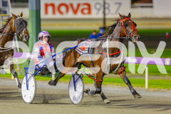 2025_PACEPIX_GP02052025_Race2_NavyStreet_WIN_WEB-3