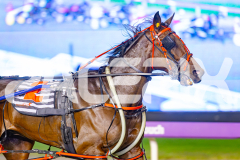 2025_PACEPIX_GP02052025_Race2_NavyStreet_WIN_WEB-5