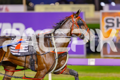 2025_PACEPIX_GP02052025_Race2_NavyStreet_WIN_WEB-6